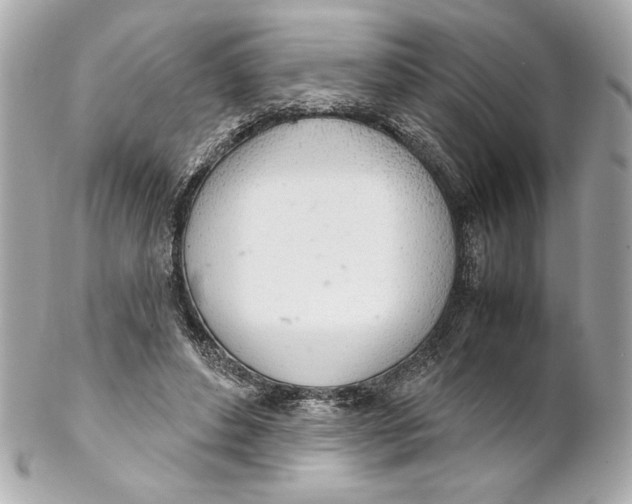 X0000102260496200808151844