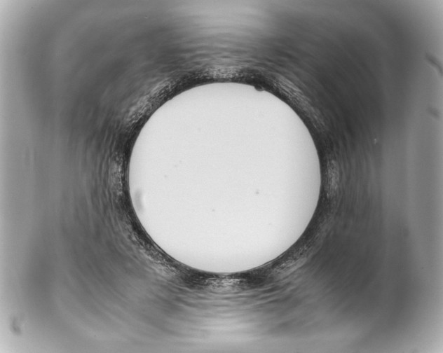 X0000102260497200808151844