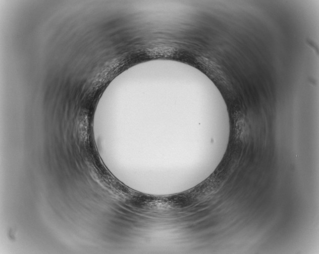 X0000102260498200808151844
