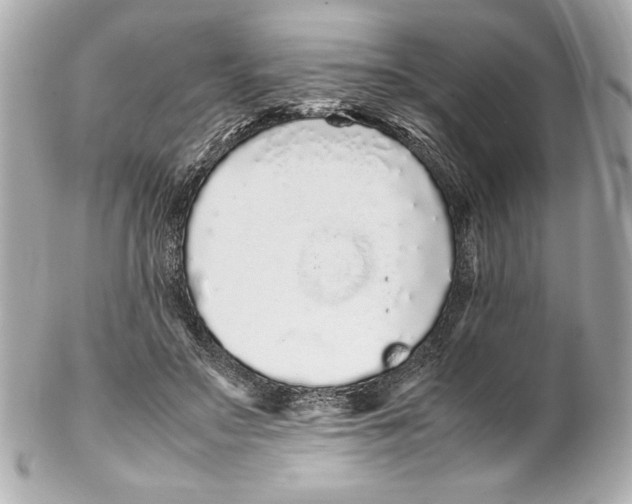 X0000102260499200808151844