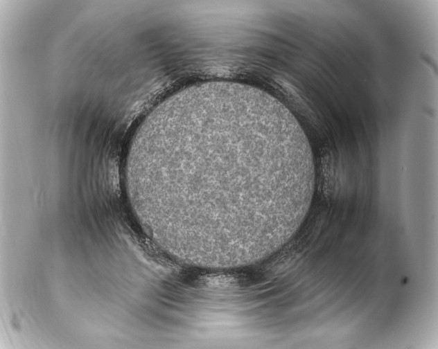 X0000102260500200808151844