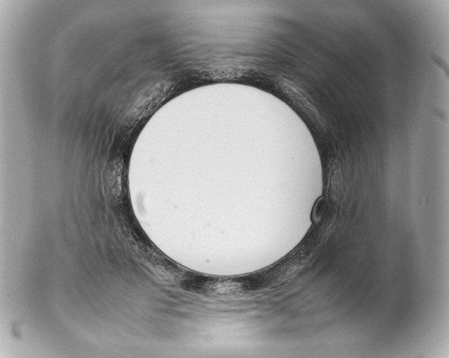 X0000102260501200808151844