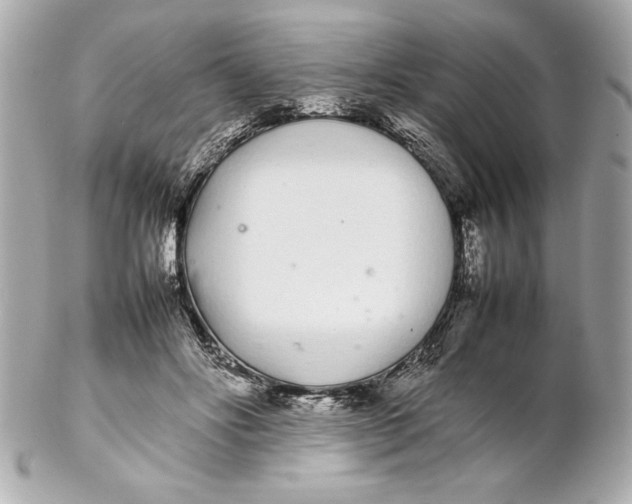X0000102260502200808151844