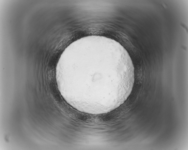 X0000102260503200808151844
