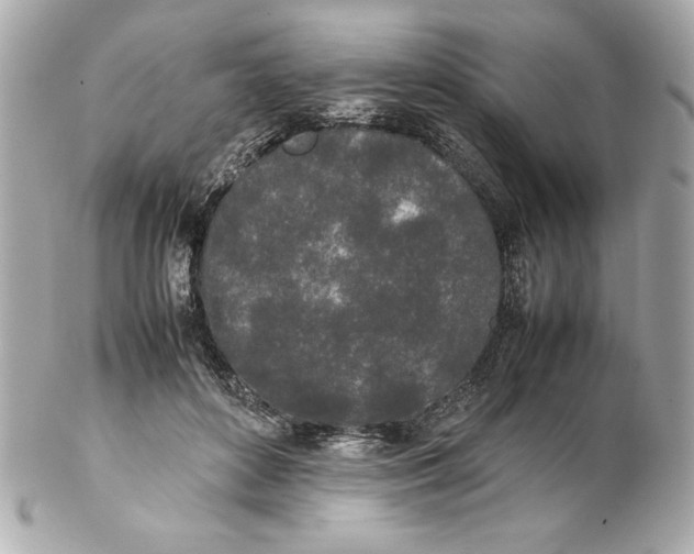 X0000102260504200808151844