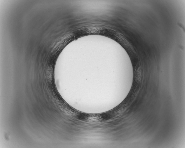 X0000102260505200808151844