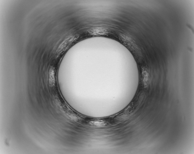 X0000102260506200808151844