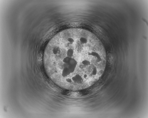 X0000102260507200808151844