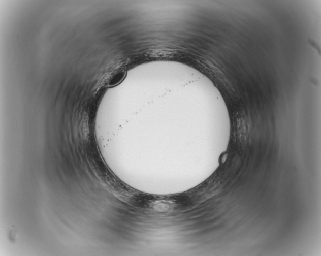X0000102260508200808151844