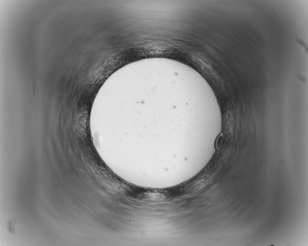 X0000102260509200808151844