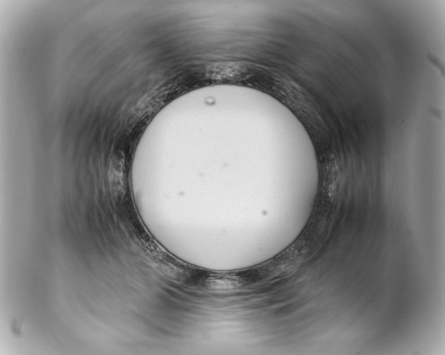 X0000102260510200808151844