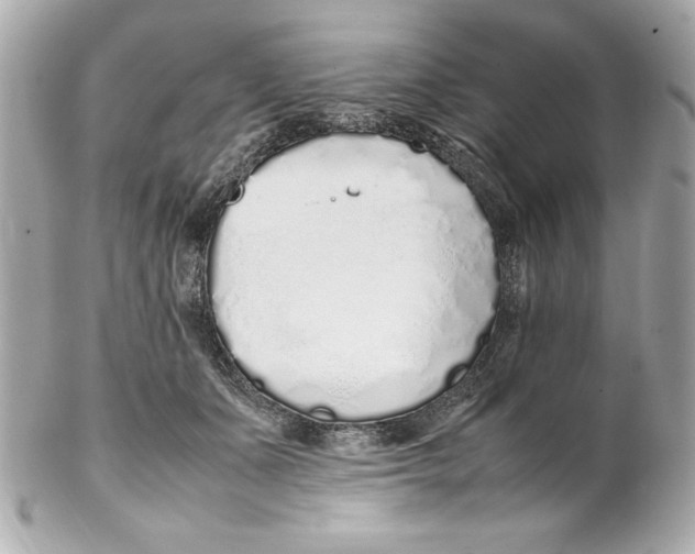 X0000102260511200808151844