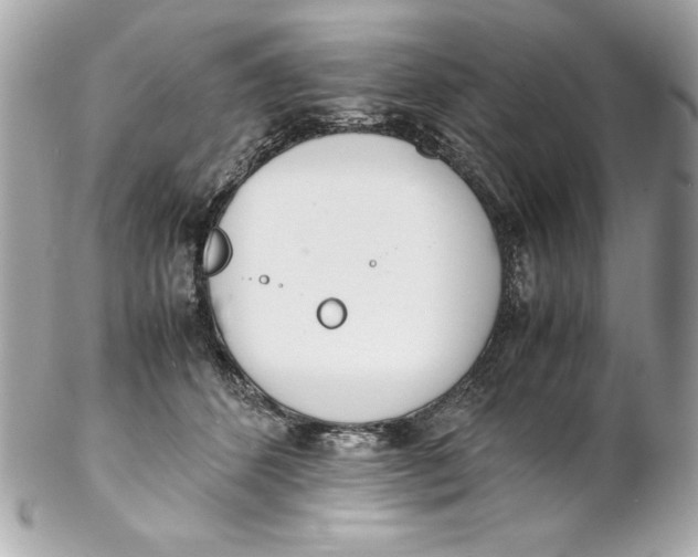 X0000102260512200808151844