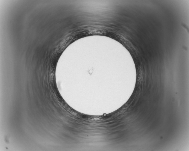 X0000102260513200808151844