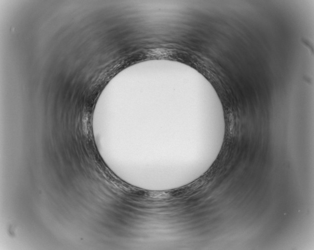 X0000102260514200808151844