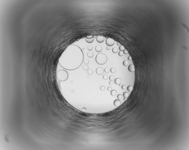 X0000102260515200808151844