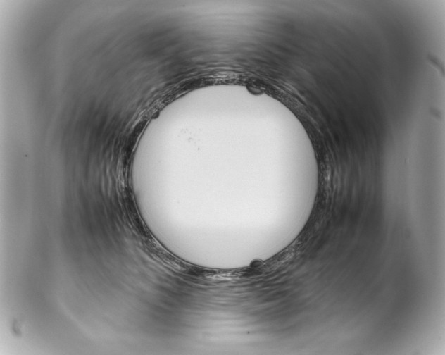 X0000102260516200808151844