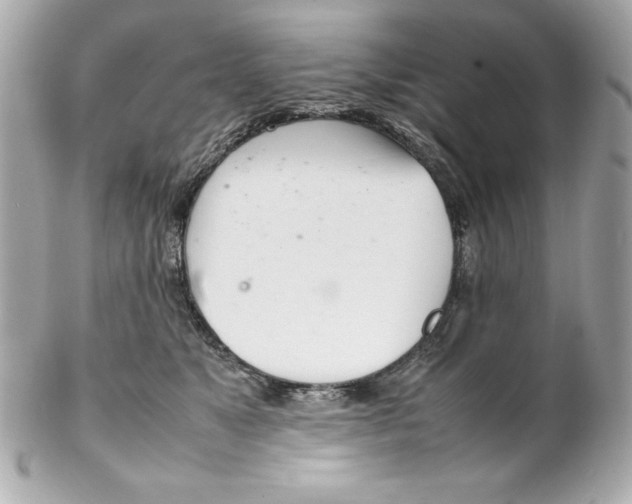 X0000102260517200808151844