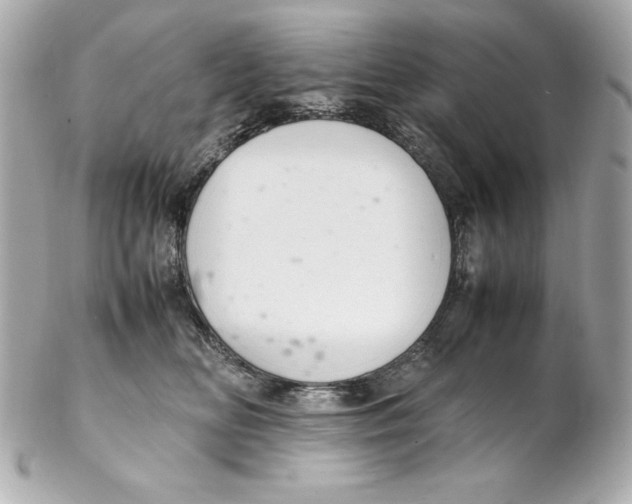 X0000102260518200808151844