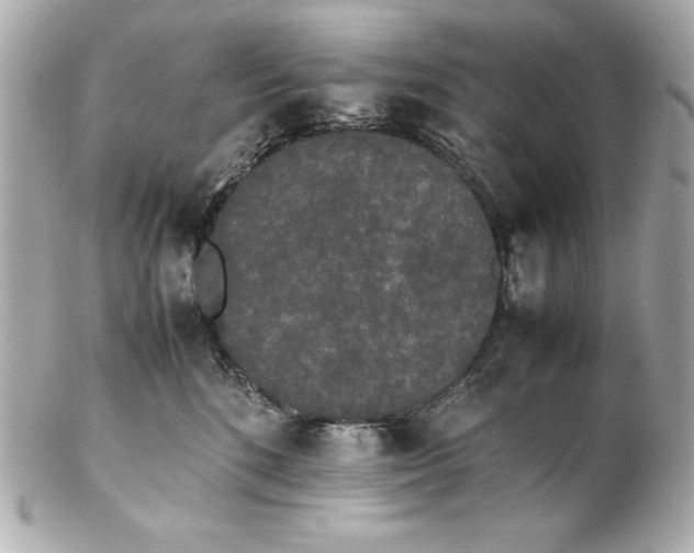 X0000102260520200808151844