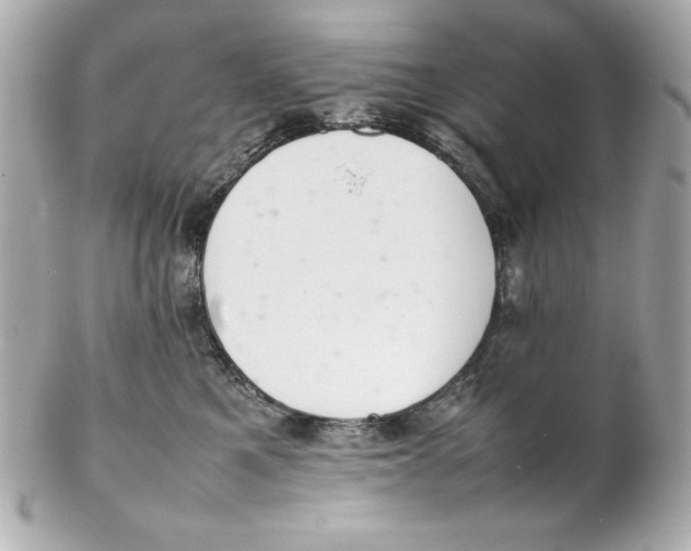X0000102260521200808151844
