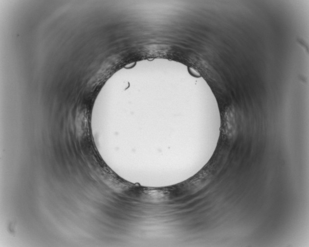 X0000102260522200808151844