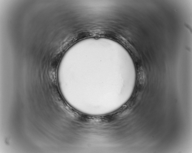 X0000102260523200808151844