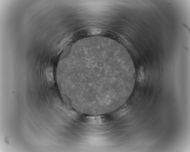 X0000102260524200808151844