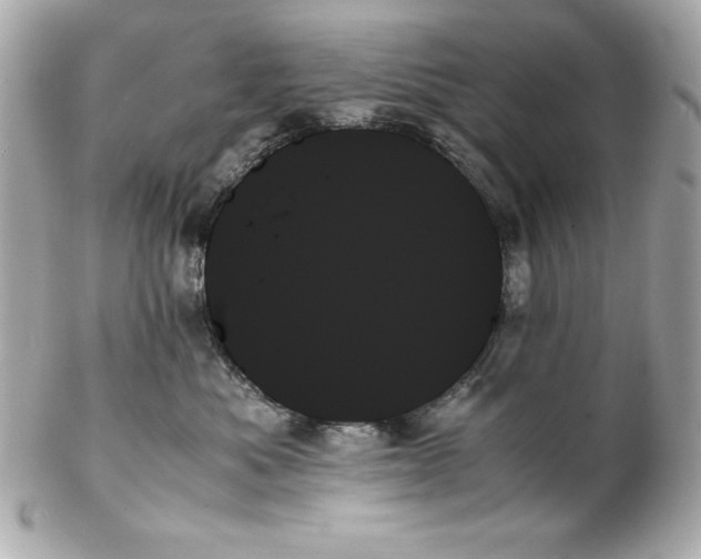 X0000102260525200808151843