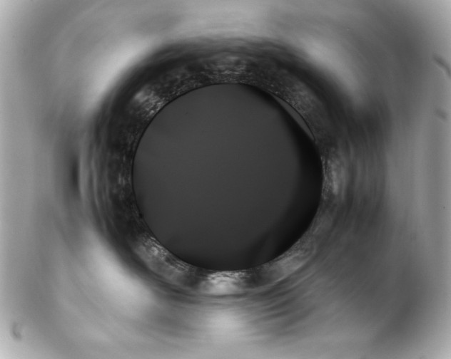 X0000102260526200808151843