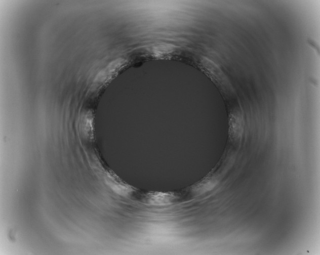 X0000102260527200808151843