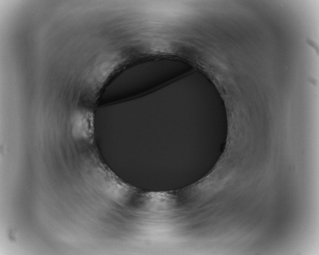 X0000102260528200808151843