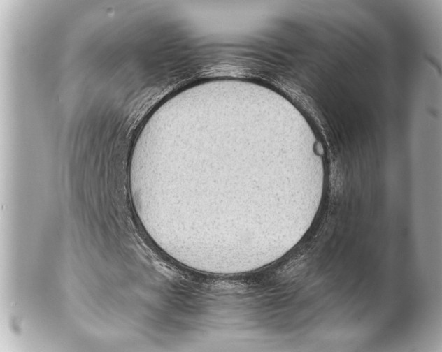 X0000102260529200808151843