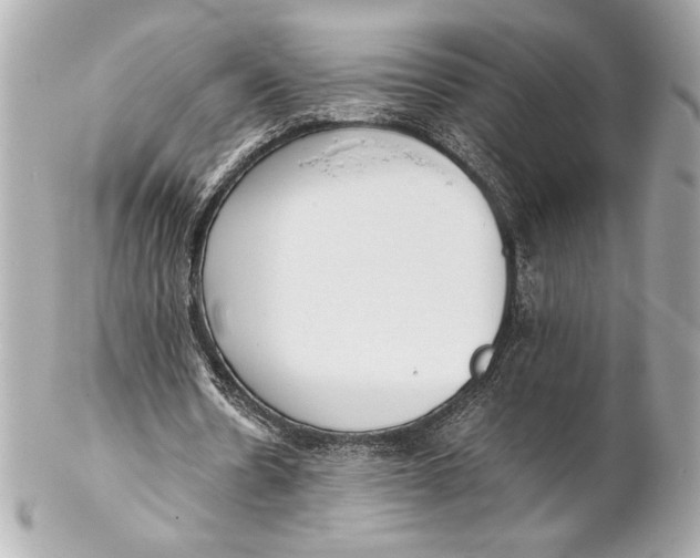X0000102260530200808151843