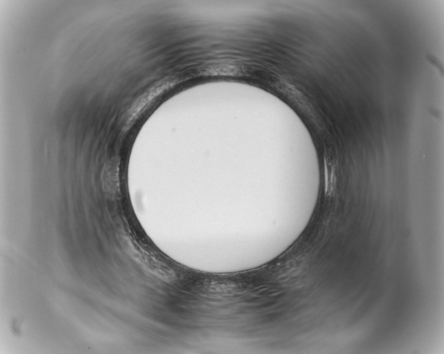 X0000102260531200808151843
