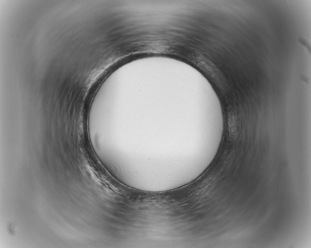 X0000102260532200808151843