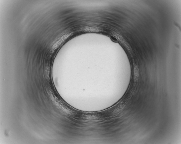 X0000102260533200808151843