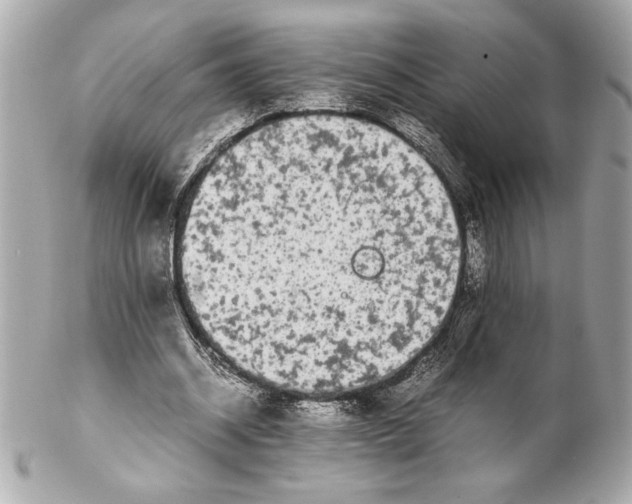 X0000102260534200808151843
