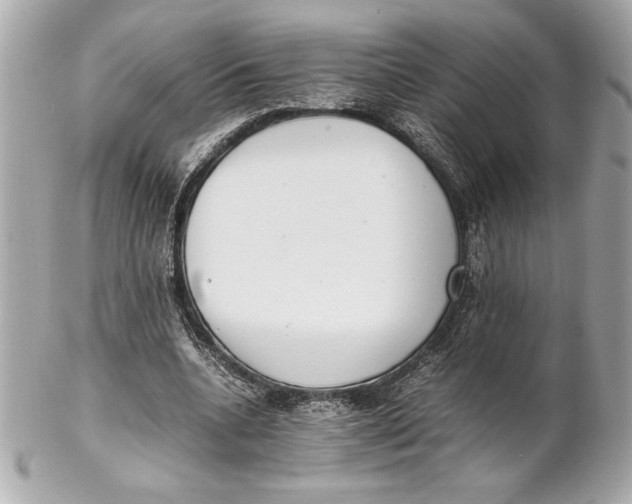 X0000102260536200808151843