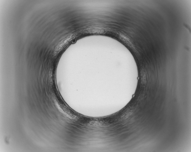 X0000102260538200808151843