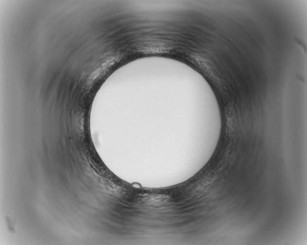 X0000102260539200808151843