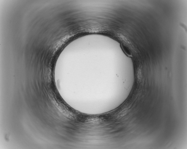 X0000102260540200808151843