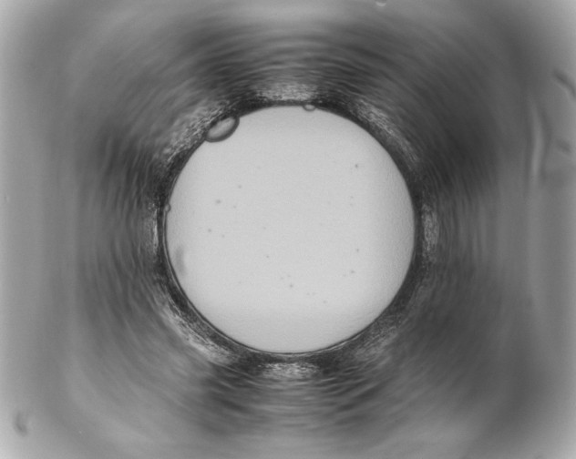 X0000102260541200808151843