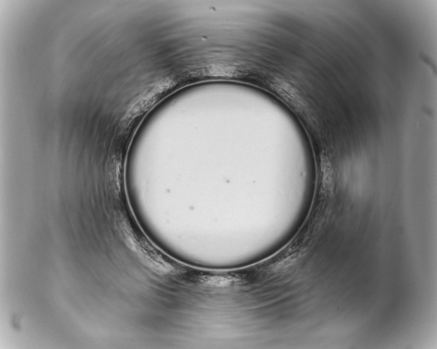 X0000102260542200808151843