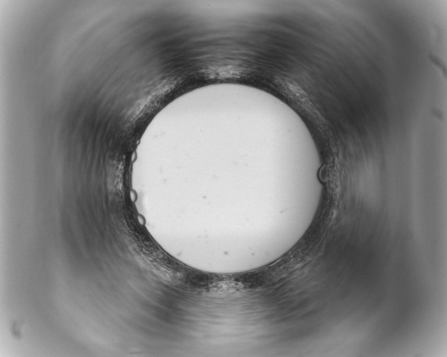 X0000102260543200808151843
