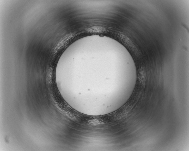X0000102260544200808151843