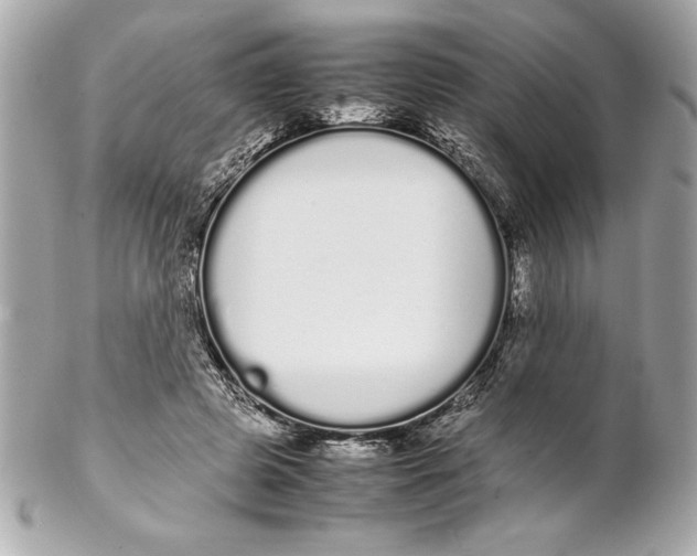 X0000102260545200808151843