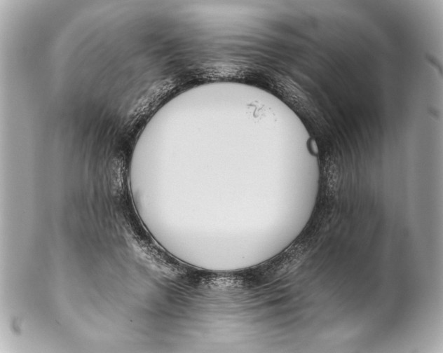 X0000102260546200808151843