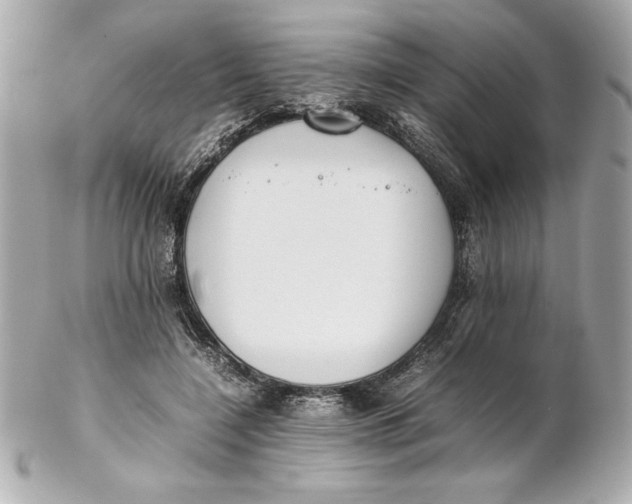 X0000102260548200808151843