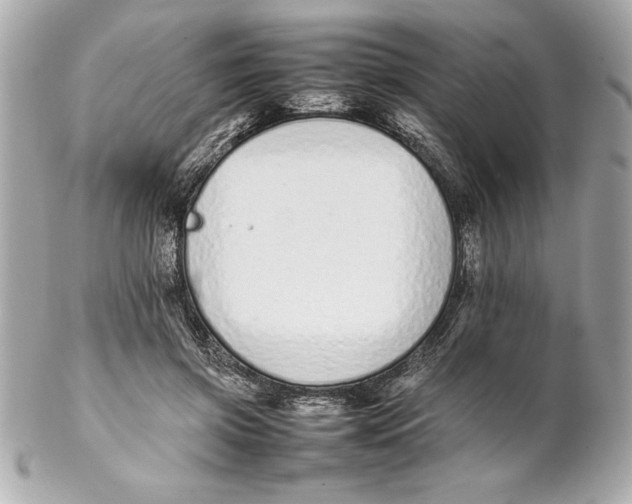 X0000102260549200808151843